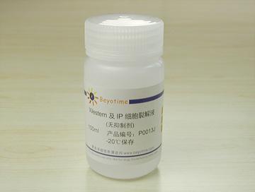 Western及IP细胞裂解液(无抑制剂)